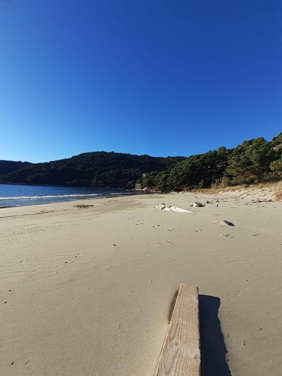 Apartment Nadine Mljet Mit Meerblick Okuklje 外观 照片