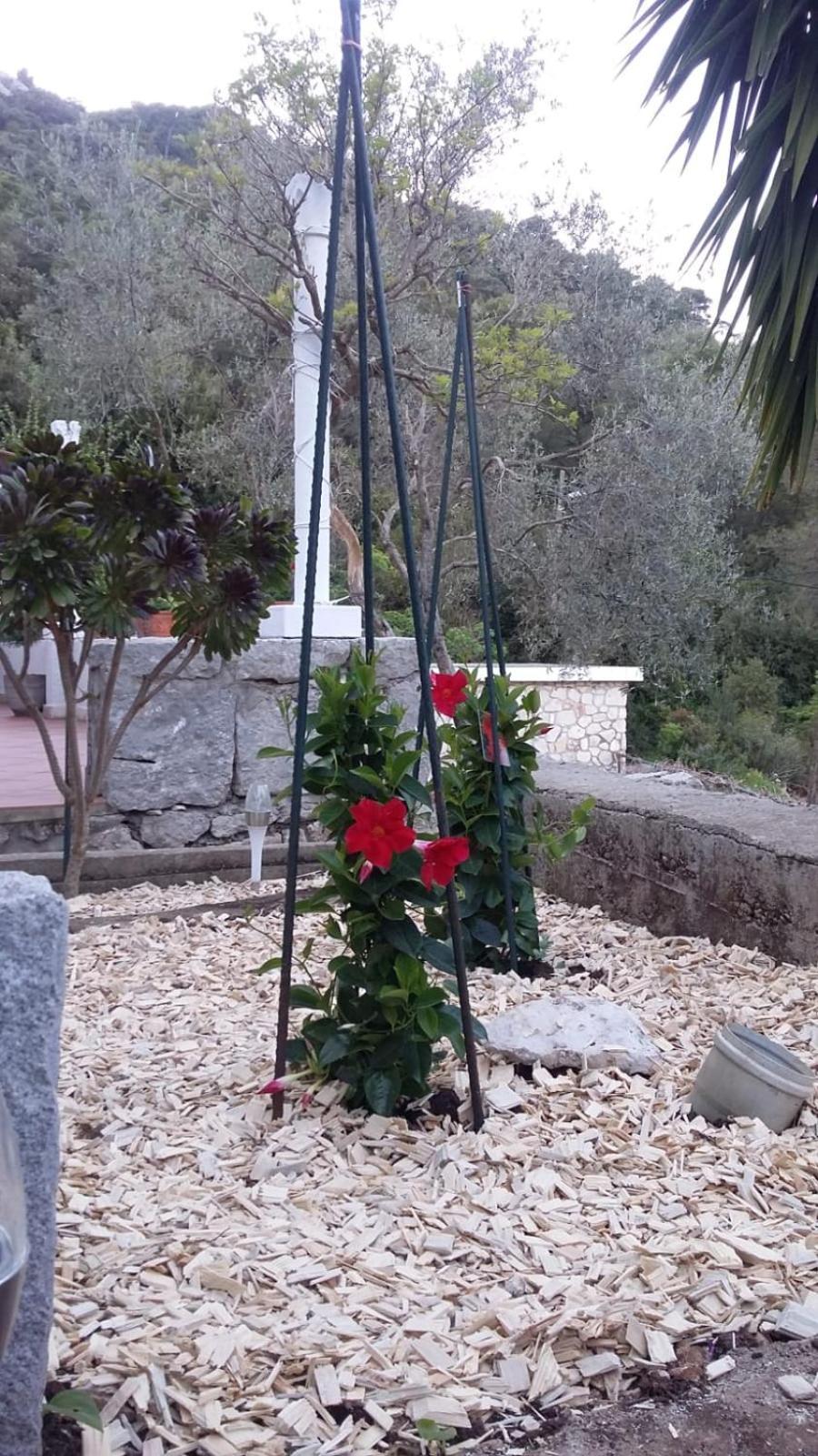Apartment Nadine Mljet Mit Meerblick Okuklje 外观 照片