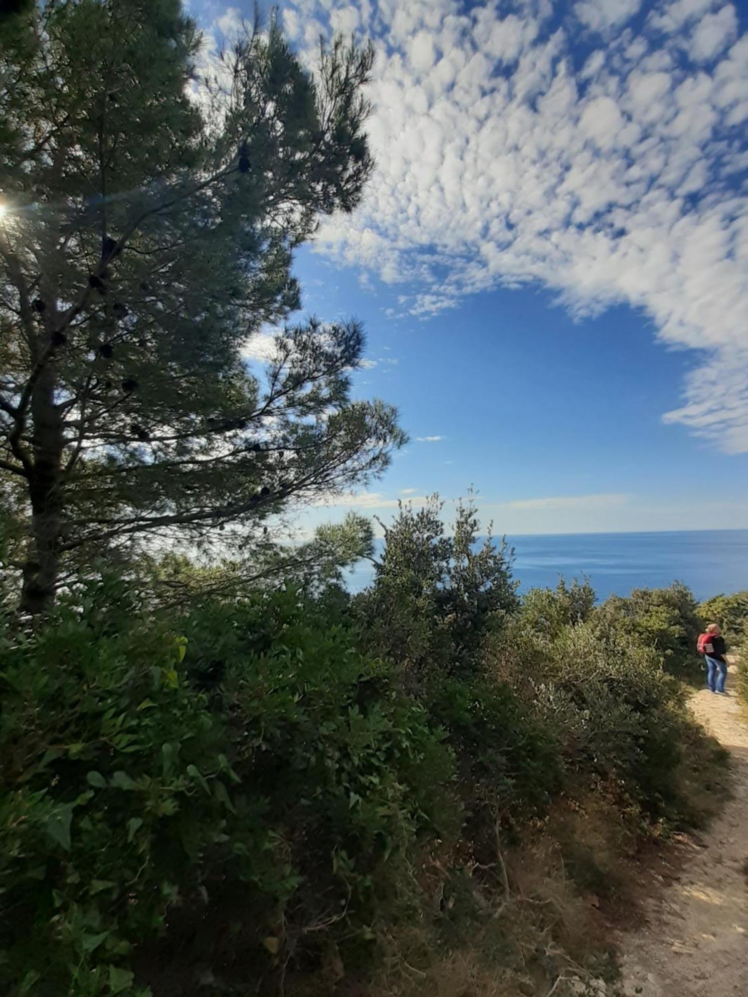 Apartment Nadine Mljet Mit Meerblick Okuklje 客房 照片